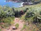 Coastal path