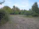 View of the site