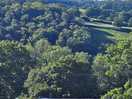 Torrent walk campsite