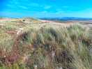Dunes