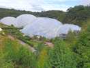 Nearby eden project