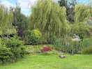 Pond