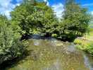 Tranquil river