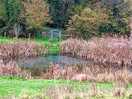 One of the wildlife ponds