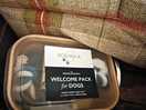 Dog welcome pack - nice touch