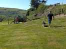 Dog walking