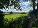 Taken from the gorgeous dog exercise area.
