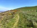 Coastal walk