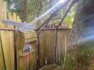Outdoor shower! stunning