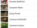 I used the merlin app and it identified all these birds in less than 3 minutes