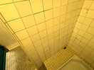 Shower recess - black mould - drain smells of sewage.