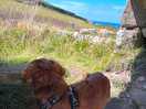 Cape cornwall