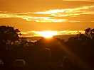 Happy sunset