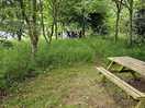 Woodland area with pitch