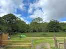 Camp field