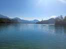 Ranní jezero bled