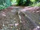 Rocky road