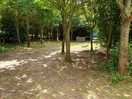 Around camp