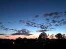 Sunset vibes