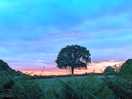 The local area at sunset