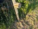Bug hotel by the lake