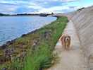 Wandeling vanuit de camping