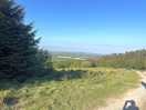 Walking trails