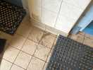 Outside ladies shower