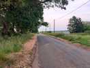 Nice quiet road