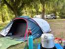 Tent beneath the willow trees