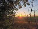 Sunset from site