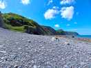 Coast walk