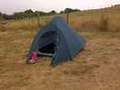 Tent up and running for inspection by the dog