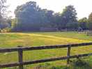 Grass paddock