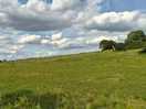 View from site