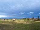 Big open space.