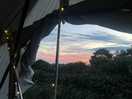 View from tent box