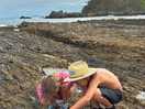 Great rockpools for fossicking, though rock shoes are helpful as the rocks are sharp in areas.