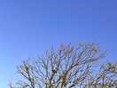 Blue skies