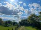 Local walk