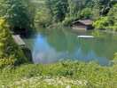 Lake on the site