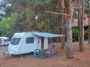 Woodland pitch
