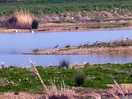 Nice birding paradise
