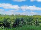 Countryside views