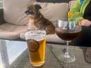 Chilled on site bar