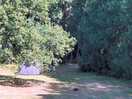 The site