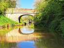 Beautiful canal view from the electric boat