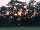 Great sunset