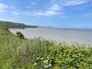 View from picnic spot.