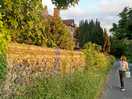 Evening walk along bardwell road